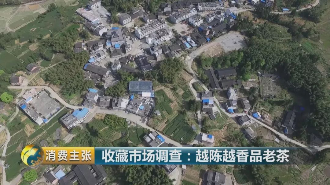 大连:以环境革命提升城市竞争力-IM电竞(图3) IM电竞平台