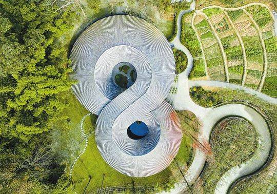 “基因编辑婴儿”案宣判!贺建奎一审获刑三年,罚款300万|IM电竞平台(图3) IM电竞官网