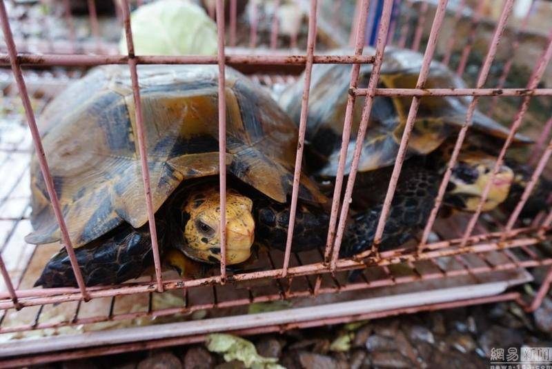 微软AI新技术:让你的头像照片动起来,并有感情地“讲话”-IM电竞平台(图4) IM电竞官网