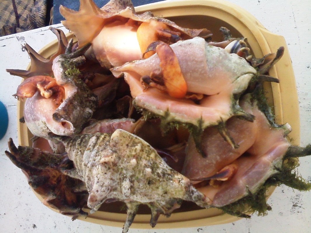 IM电竞:意甲-亚特兰大3-1首次闯欧冠罗马2-1德罗西告别(图2) IM电竞官网