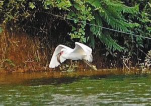 IM电竞平台_囧叔怒批球员:懒散!没赢怪自己 都在想着曼联(图1) IM电竞